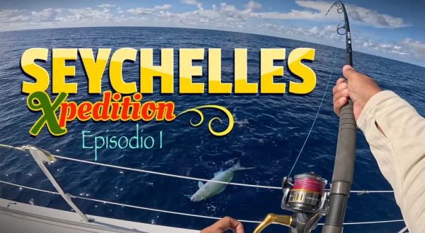Seychelles Expedition Coitibi