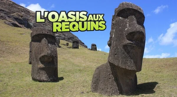 L'oasis aux requins