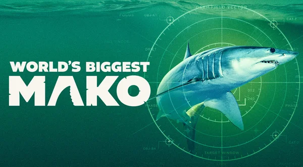 World's Biggest Mako