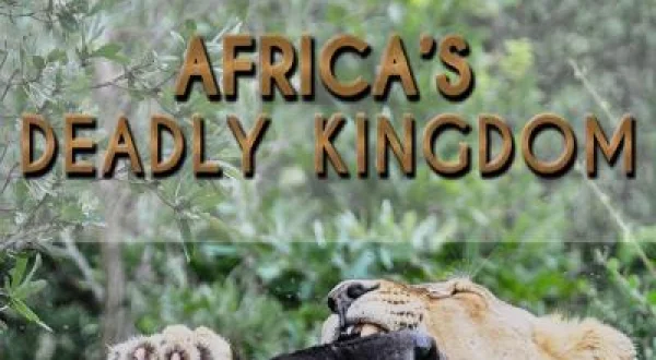 Afrika'nın Vahşi Krallığı