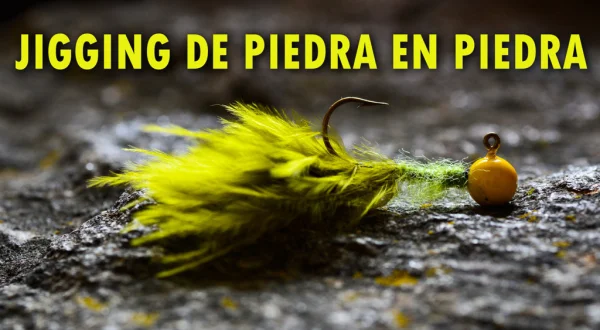 Gigging de piedra en piedra