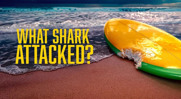 What Shark Attacked?