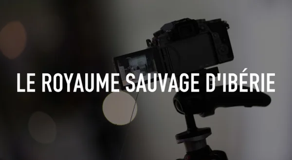Le royaume sauvage d'Ibérie