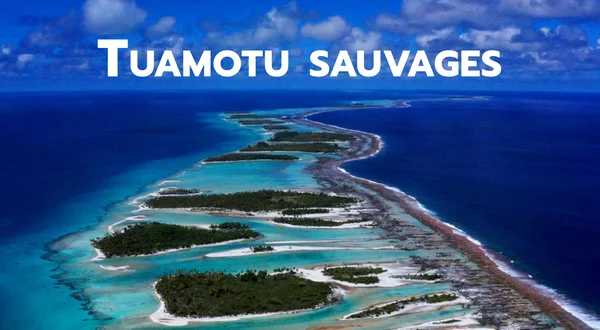 Tuamotu sauvages