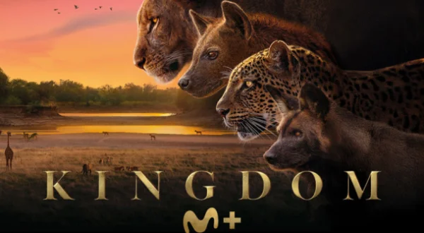 Kingdom