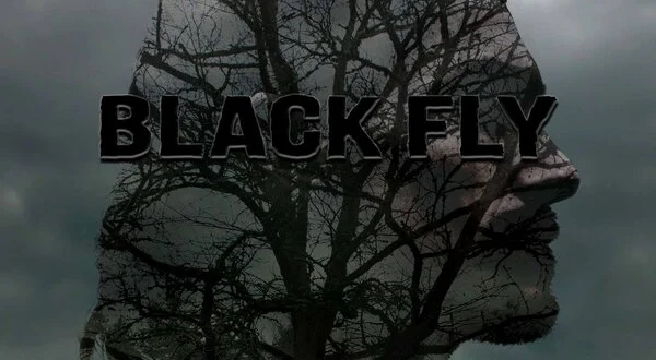 Black Fly