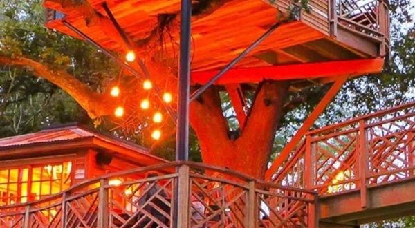 Treehouse Masters