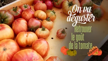 On va déguster