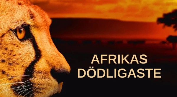 Afrikas dödligaste