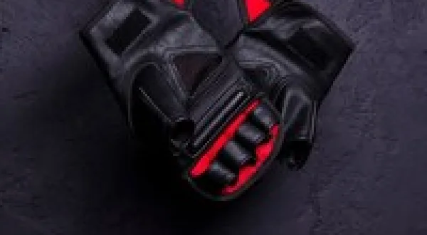 UFC The Ultimate Fighter