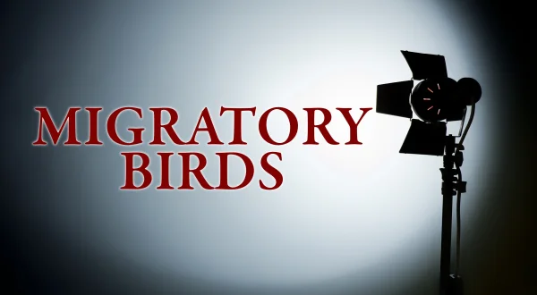 Migratory Birds