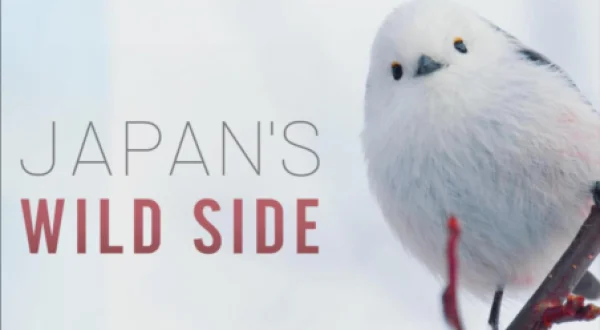 Japan's Wild Side