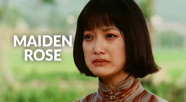 Maiden Rose