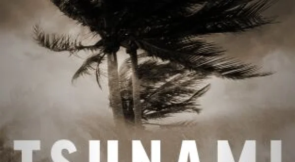 Tsunami: la ola que conmocionó al mundo
