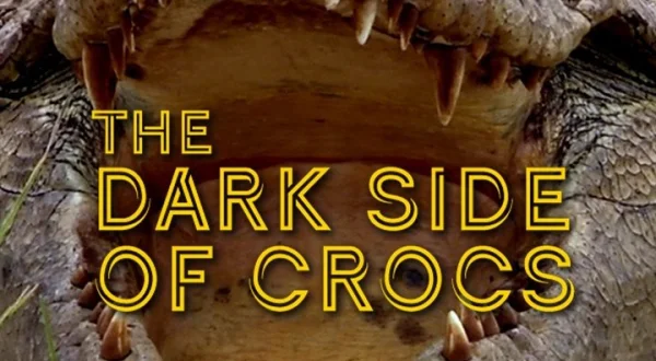 El lado oscuro de los cocodrilos