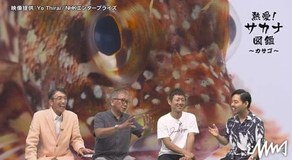 熱愛！サカナ図鑑 12 ～カサゴ～