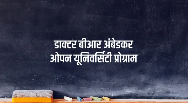 Dr.br Ambedkar Open University Programme