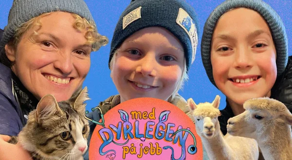 Med dyrlegen på jobb