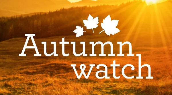 Autumnwatch