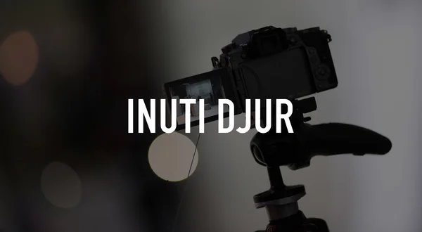 Inuti djur