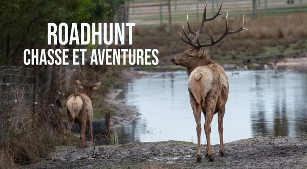Roadhunt: chasse et aventures