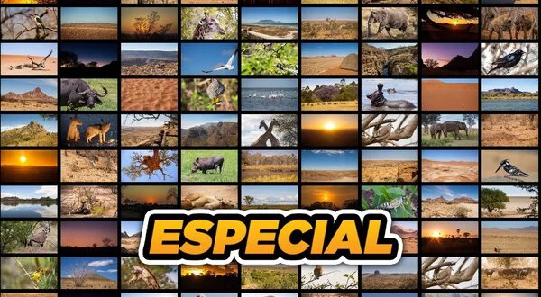 Especial