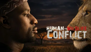 Human and Wildlife Conflict