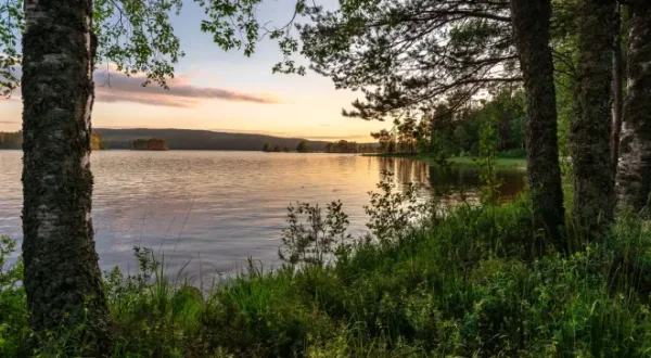 Angeln auf Hecht in Norwegen