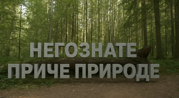 Nepoznate priče prirode