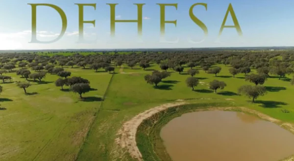Dehesa