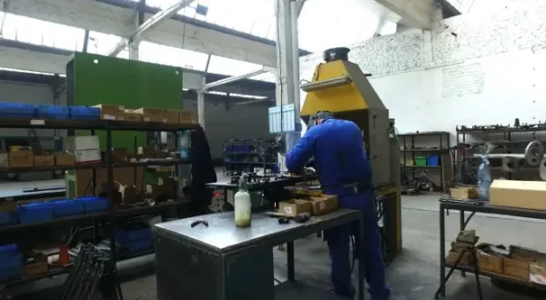 Le grand rêve des petits constructeurs automobiles