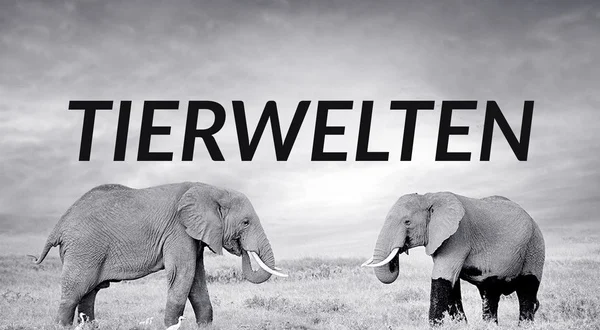 Tierwelten