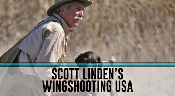 Wingshooting USA