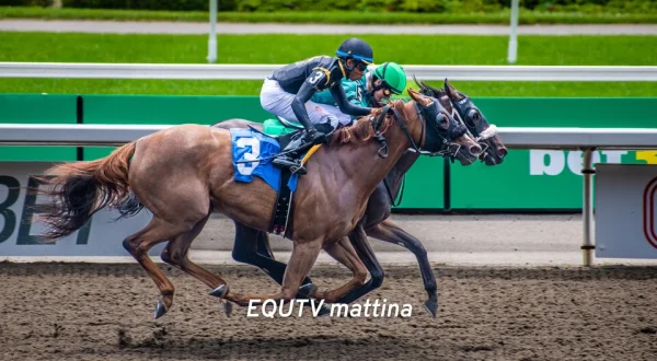 Live: EQUTV mattina