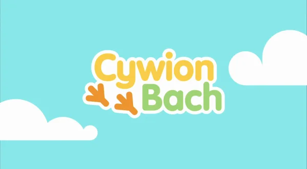 Cywion Bach