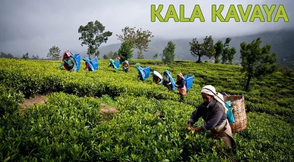 Kala Kavaya