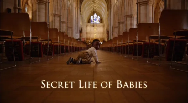 La vida secreta de los bebés