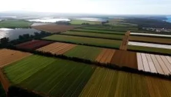 Um Dia na Agricultura Portuguesa