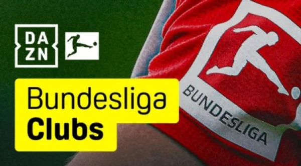 Bundesliga Clubs - 14 - Hoffenheim
