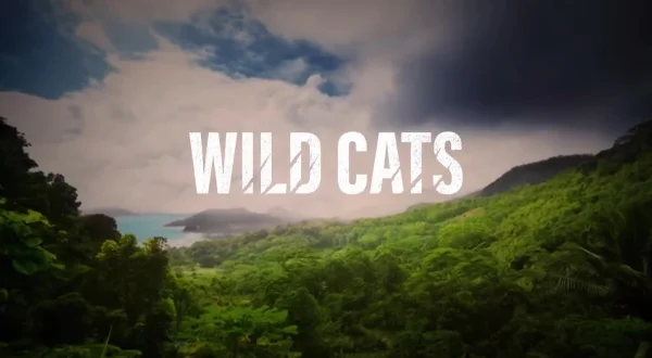 Wild Cats