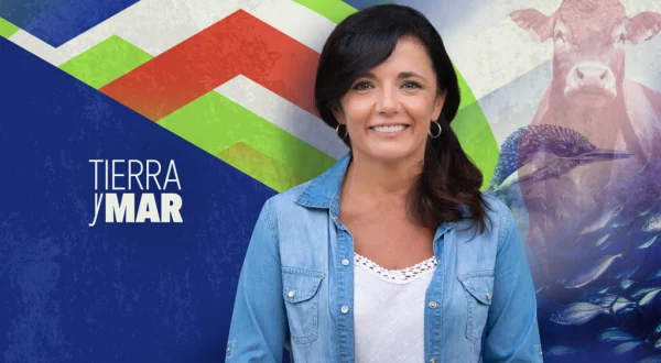 Tierra y Mar