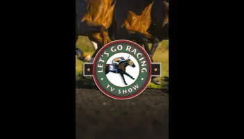 Let's Go Racing