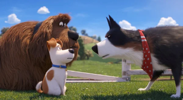 Pets 2