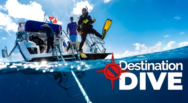 Destination Dive