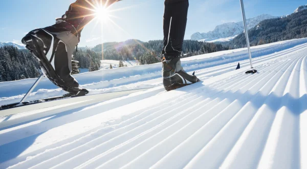 Skispringen: Sommer Grand Prix