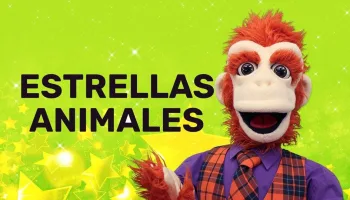 Estrellas Animales