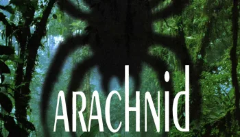 Arachnid