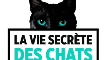 La vie secrète des chats