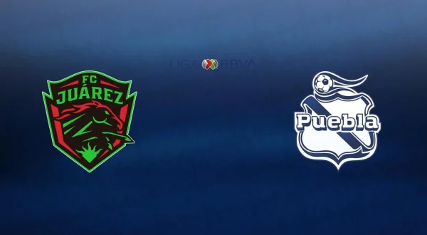 Fútbol Mexicano Primera División