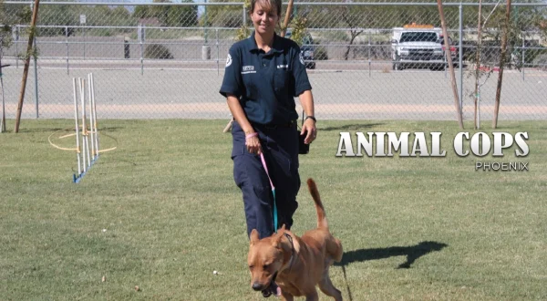 Animal Cops Phoenix